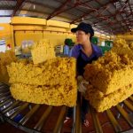 Xây dựng kịch bản cụ thể, ổn định sản xuất, việc làm, đời sống người lao động