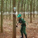 Hội thi Bàn tay vàng tổ chức vào tháng 12