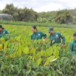 Phong trào thi đua yêu nước khẳng định sức mạnh và hiệu quả trong thực hiện nhiệm vụ