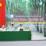Quy trình kỹ thuật cây cao su năm 2020 sẽ ban hành vào tháng 10