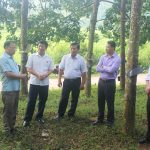 Cao su Điện Biên: Đề xuất tháo gỡ khó khăn cho doanh nghiệp