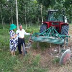 Cao su Tây Ninh ứng dụng cơ giới hóa trong tái canh trồng mới