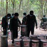 Trạng thái bình thường mới trong sản xuất kinh doanh và đời sống ngành cao su