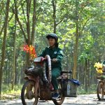 Vỏ xe ★★★ VRG: Sản phẩm ý nghĩa của người lao động ngành cao su