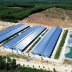 Mô hình kinh tế tuần hoàn trong nông nghiệp