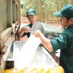 Cao su Bà Rịa: Bảo vệ môi trường, phát triển bền vững