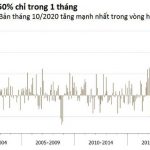 Giá cao su thiên nhiên tăng mạnh nhất trong vòng hơn 40 năm