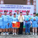 Khối thi đua sản xuất tỉnh Gia Lai giao lưu thể thao