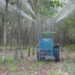 Hiệu quả từ chương trình cải kiến Kaizen ở Cao su Tây Ninh