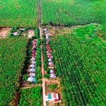 Dấu ấn màu áo lính nơi biên cương