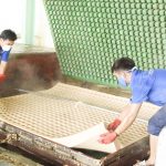 Sản xuất gối nệm từ cao su thiên nhiên tại nhà máy Dorufoam
