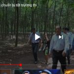 Cao su Phú Riềng chuẩn bị chu đáo trường thi