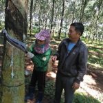 Nơi nào khó có tổ trưởng