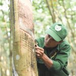 Sẵn sàng cho hội thi cấp ngành