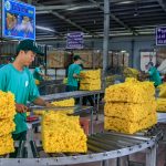 Cơ hội cho cao su mở rộng thị trường