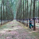Lan tỏa tinh thần thi đua