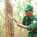 Tranh tài quyết liệt trong ngày hội lớn