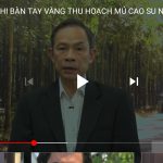 Chủ tịch HĐQT VRG chia sẻ về Hội thi Bàn tay vàng