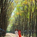 Thơ tình của lá
