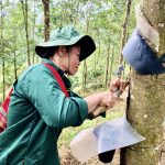 Hào hứng trước ngày hội lớn