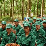 Cao su Đồng Nai – Kratie phấn đấu vượt kế hoạch sản lượng 6%