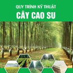 Tài liệu kỹ thuật cao nhất trong ngành cao su