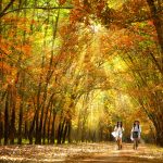 Đất đỏ nắng xuân về