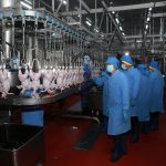 Nông nghiệp Việt Nam quyết làm ăn lớn