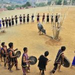Lễ hội ăn trâu: Nét văn hóa độc đáo của đồng bào dân tộc thiểu số Tây Nguyên