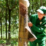 Tin vào một năm tiếp tục thành công