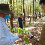 Công tác phun phòng phấn trắng: Quyết liệt ngay từ những ngày đầu năm