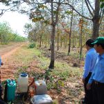 Gian nan phòng chống cháy ở vùng biên