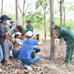 Tăng cường truyền thông về hoạt động của VRG