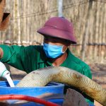 Đảm bảo quyền lợi cho người lao động