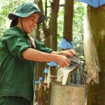 Thí điểm lựa chọn doanh nghiệp Nhà nước giữ vai trò chủ đạo