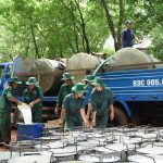Lao động trước mùa cạo mới: Không còn là vấn đề nan giải
