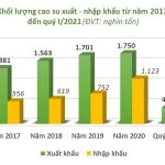 Việt Nam bất ngờ nhập siêu cao su trong quý I