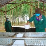 Kiên định thực hiện mục tiêu kép