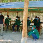 Cao su Campuchia nỗ lực khai thác giữa vòng vây Covid