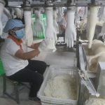 Công ty Cổ phần VRG Khải Hoàn (VGLOVE): Kín đơn hàng đến năm 2022