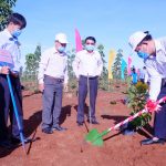 Cao su Phú Riềng trồng 15.600 cây xanh