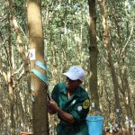 Một tập đoàn kinh doanh 'vàng trắng' lãi cả ngàn tỉ