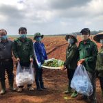 Đoàn Thanh niên Cao su Đồng Nai tình nguyện hỗ trợ công nhân mùa tái canh