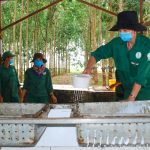 Kết quả SXKD 6 tháng đầu năm: Vượt qua đại dịch, hiệu quả khả quan