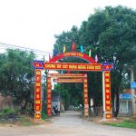 Làm công nhân cao su để thoát nghèo