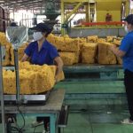 Các công ty Đông Nam bộ có kết quả sản xuất kinh doanh tốt, thu nhập ổn định