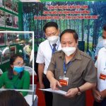 Cao su Lai Châu hỗ trợ, kết nối việc làm cho người lao động
