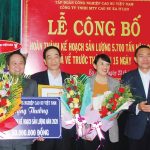Cao su Ea H’Leo dẫn đầu tỷ lệ khai thác 8 tháng đầu năm khu vực Tây Nguyên