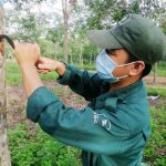 Nỗ lực hoàn thành sản lượng giữa nỗi lo Covid