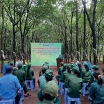 Cao su Lộc Ninh: Điểm sáng Nông trường 5